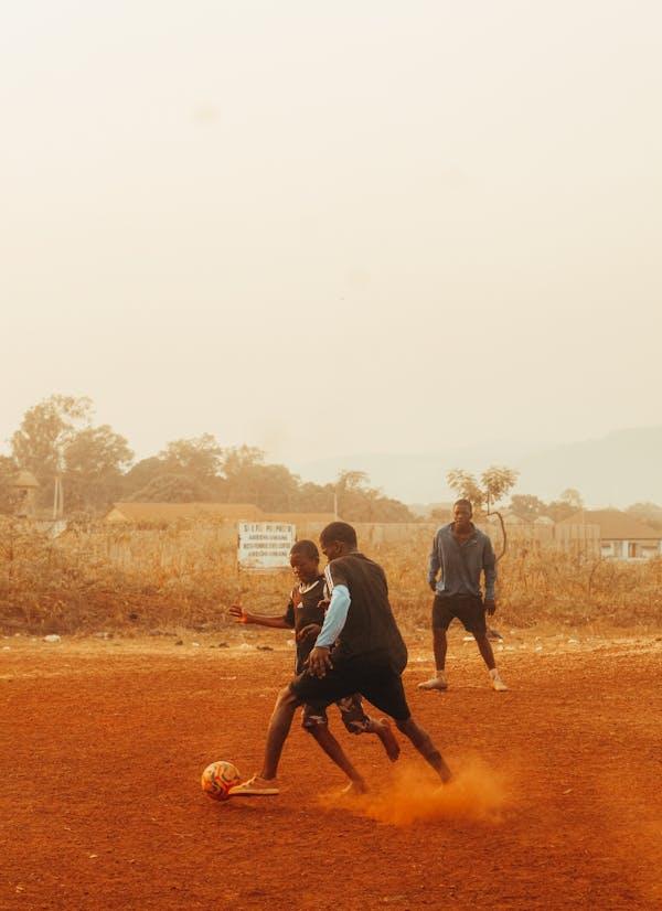 Collection of  in a gallery layout