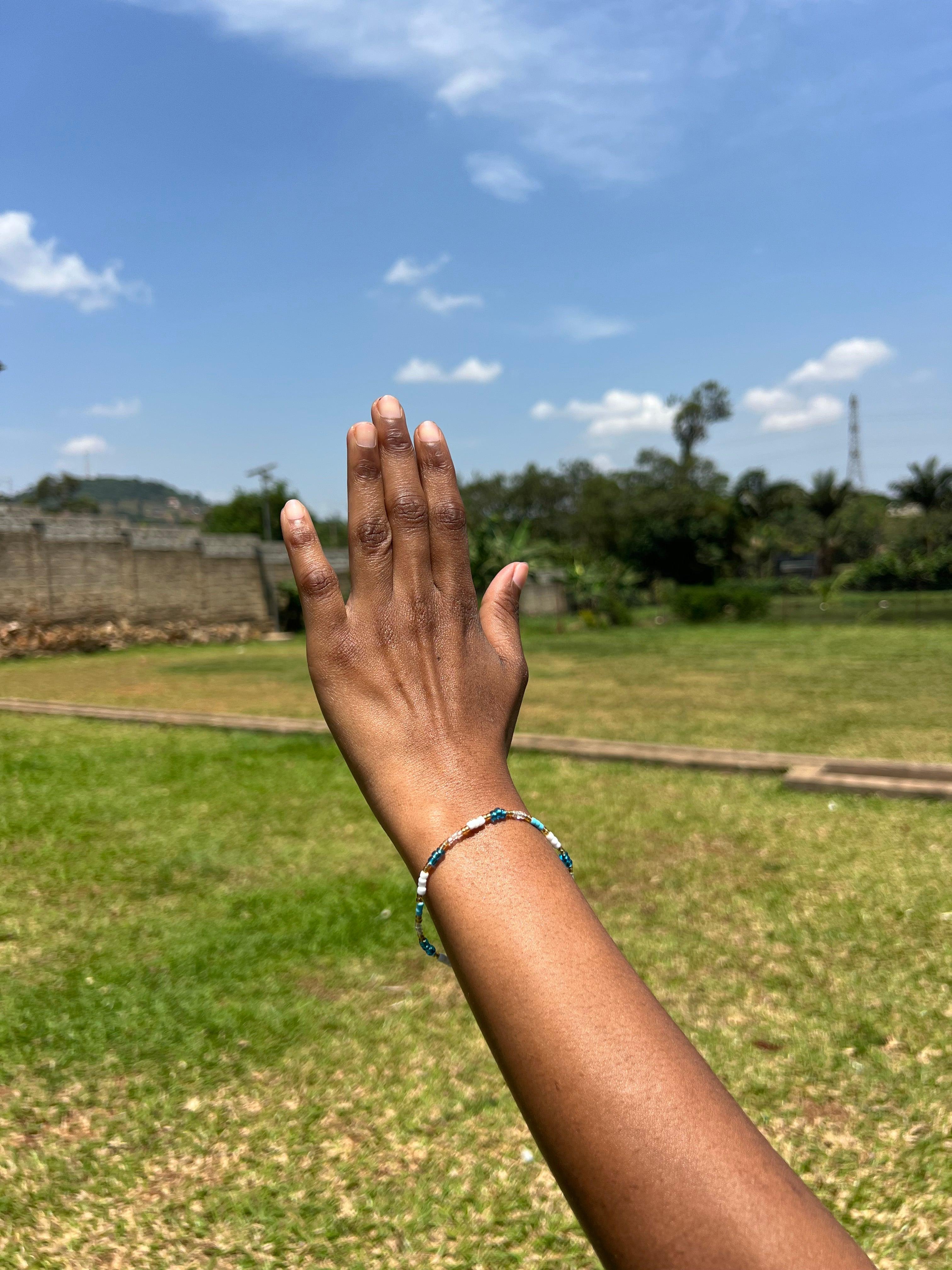 Collection of  in a gallery layout